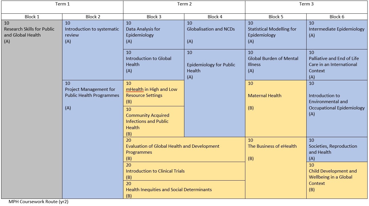 MPH Coursework year 2
