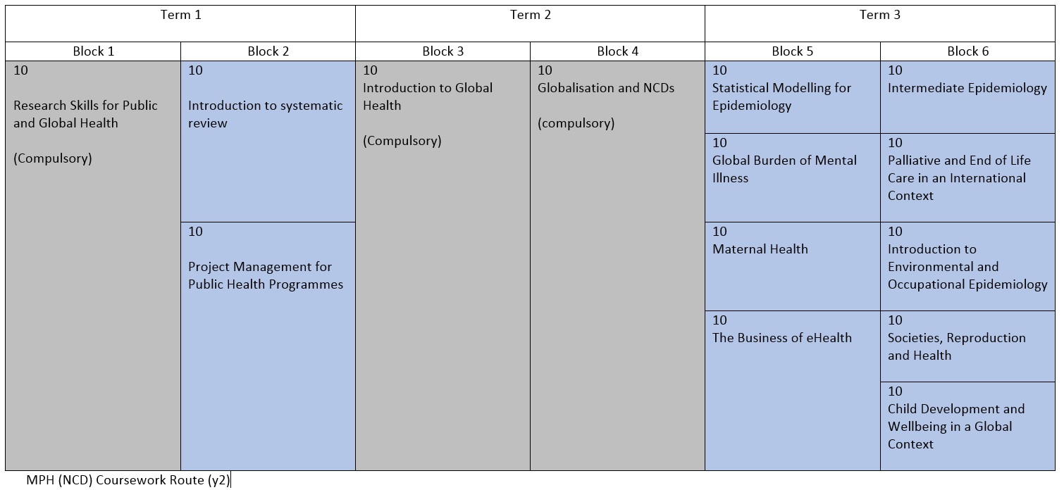 MPHNCD Coursework yr2
