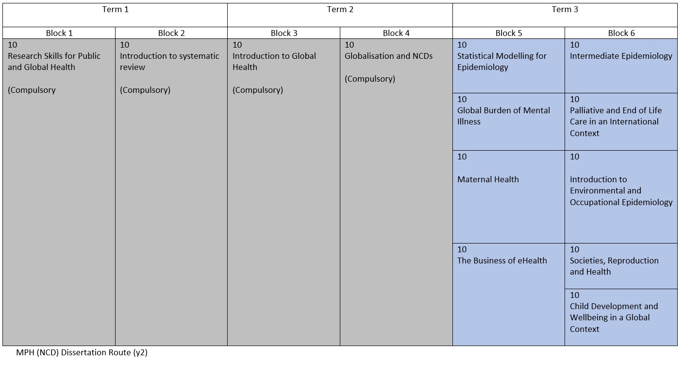 MPHNCD Dissertation yr2